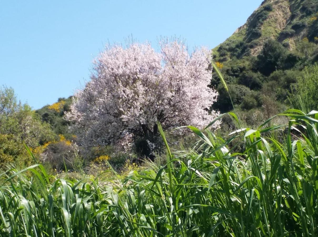 Apokryfo, One Bedroom Close To The * Pissouri